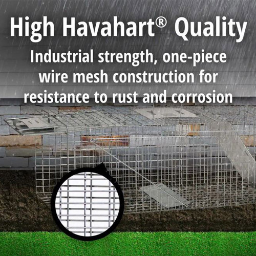 Havahart X-Small 2-Door Professional Live Animal Cage Trap for