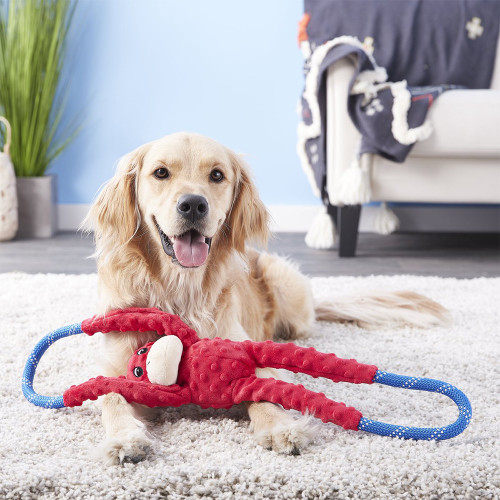 ZippyPaws Monkey RopeTugz Dog Toy, Red