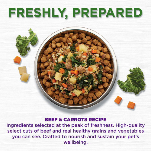 https://cdn11.bigcommerce.com/s-6ff03vil69/images/stencil/500x659/products/13087/31848/Wellness_Freshly_Beef_Carrots_Bowl_Boosters_for_Dogs_14_oz_Visual2_100170641__63988.1684873215.jpg?c=1