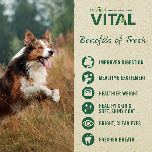 Freshpet Vital Balanced Nutrition GrainFree Beef & Bison Recipe Dog Food Roll, 1 lb