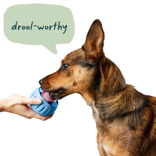 Woof Pupsicle Treat Dispenser Dog Toy, Blue Large