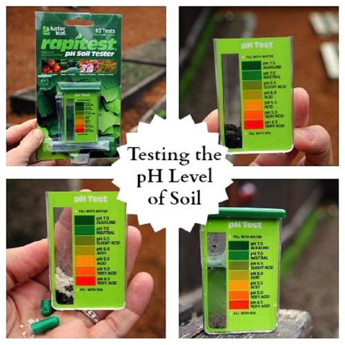 Luster Leaf Rapitest Soil PH Test Kit