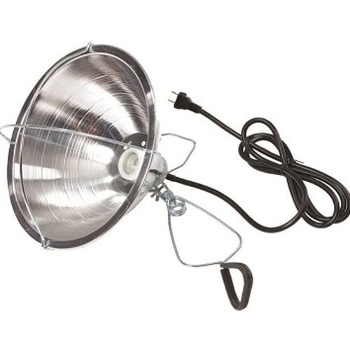 Little Giant Brooder Reflector Lamp, 10½ in