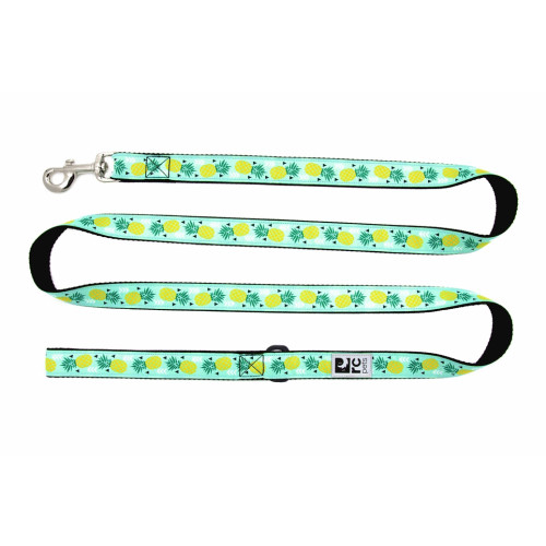 RC Pet Dog Leash Pineapple Parade, ¾ in x 6 ft