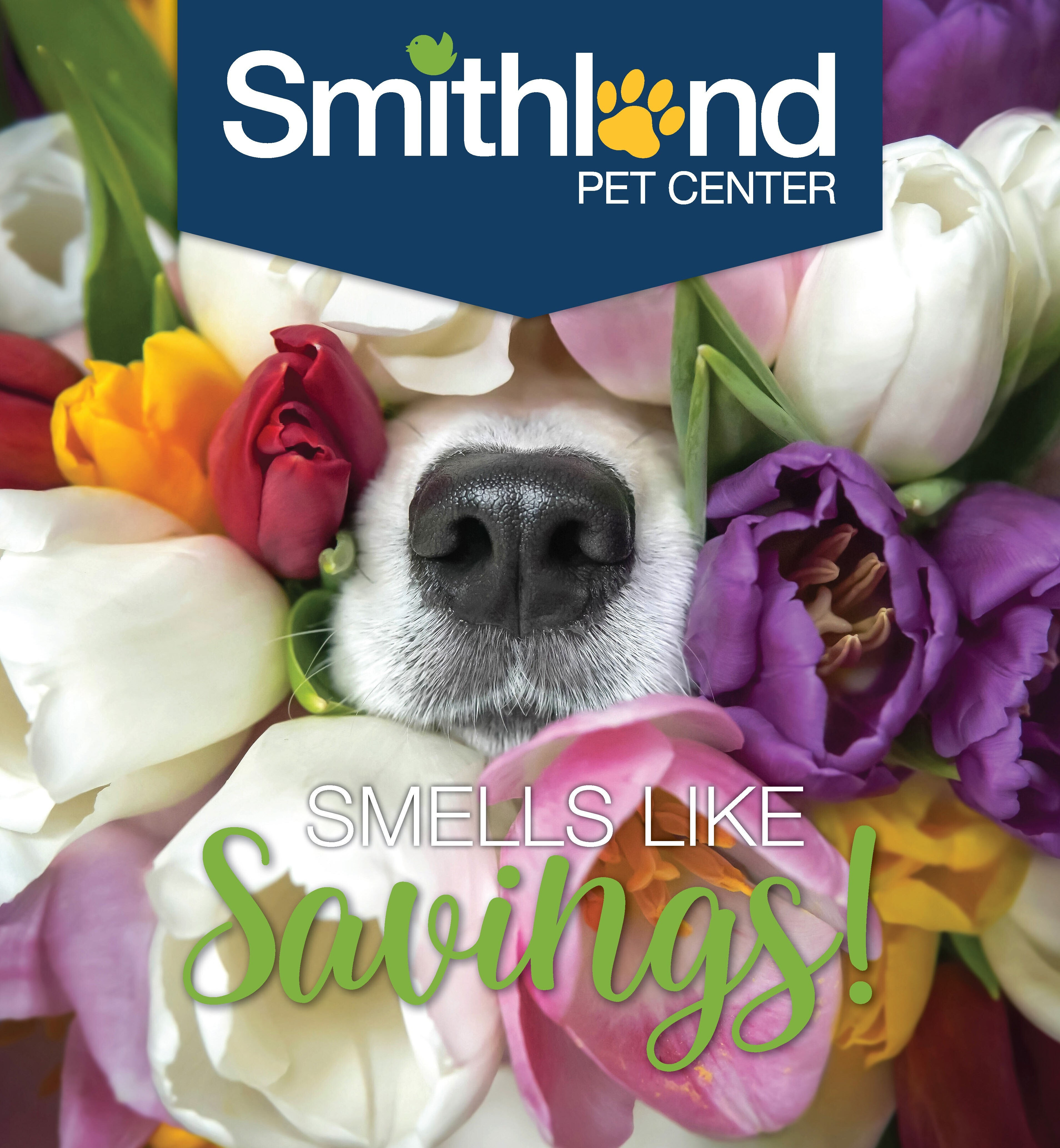 Smithland Pet and Garden Center spring gardening display with Bentley seeds, seed starting supplies, pansies, cold weather plants, and Greenview 4-Stage Lawn Care program sale.