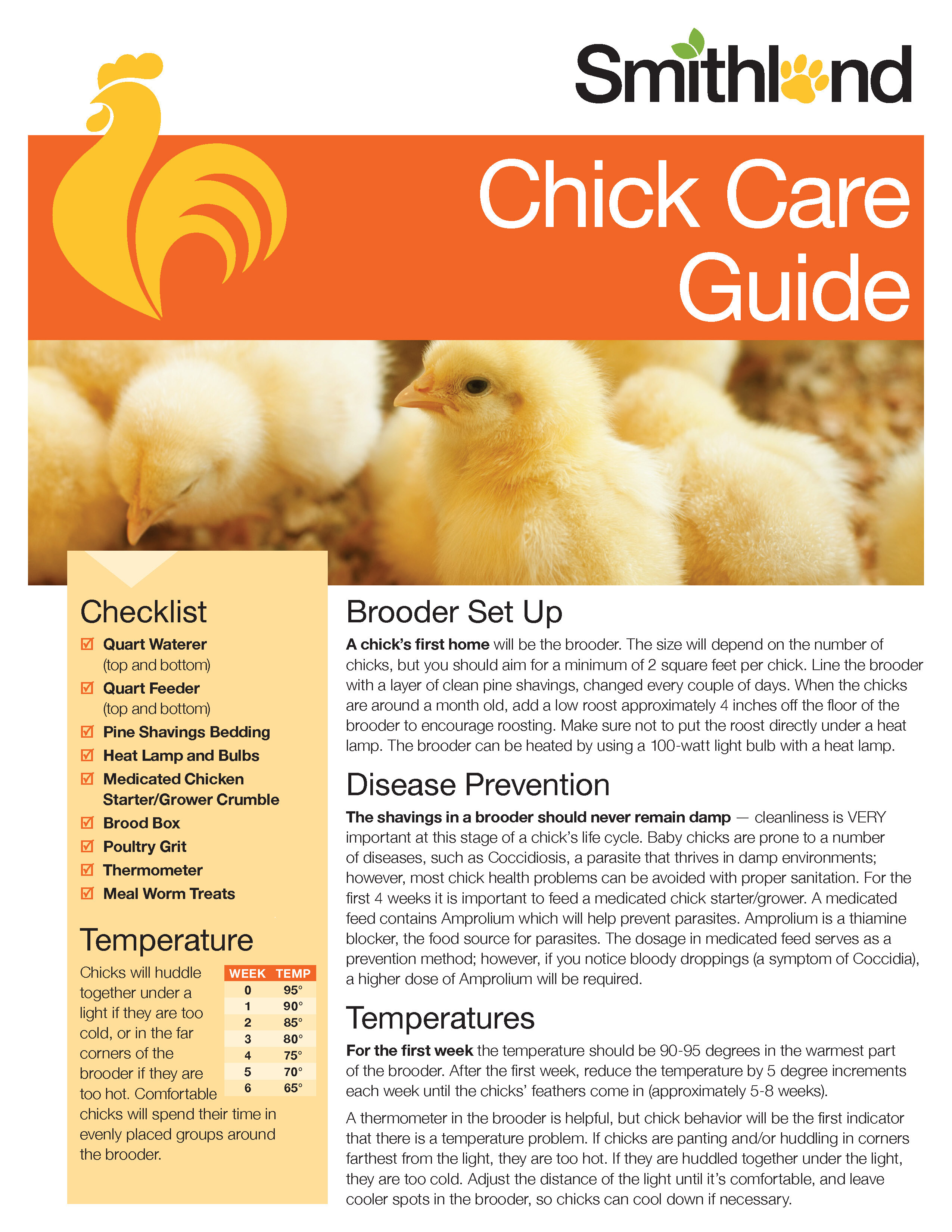 chick-care-guide-1.jpg