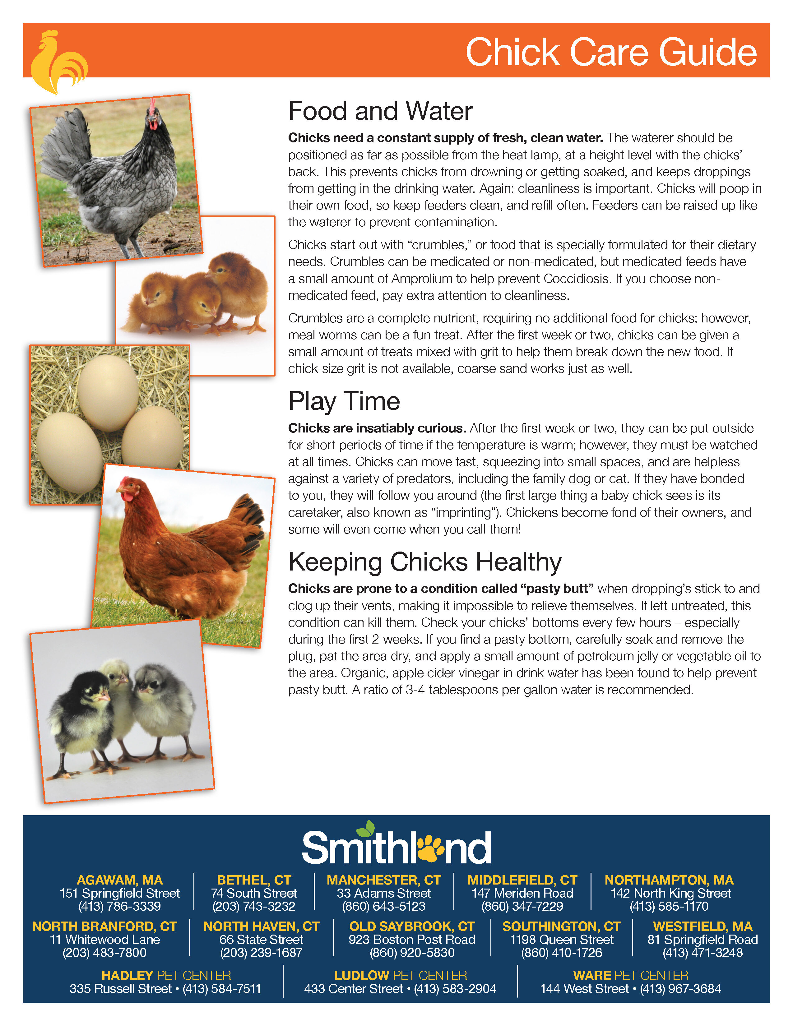 chick-care-guide-2.jpg