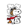 Peanuts® Year Round Snoopy® Poses Bulletin Board Set