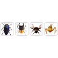 Photo Insect Theme Stickers