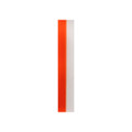 Offray Spirit Ribbon Orange
