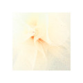 Offray Sparkle Tulle Ivory Offray Sparkle Tulle Ivory