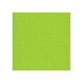 Offray Single Face Satin Ribbon New Chartreuse Offray Single Face Satin Ribbon New Chartreuse
