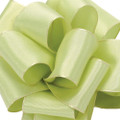 Offray Revogue Wired Edge Ribbon Clean Green