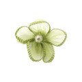 Mini Sheer Ribbon Flower Lemon Grass