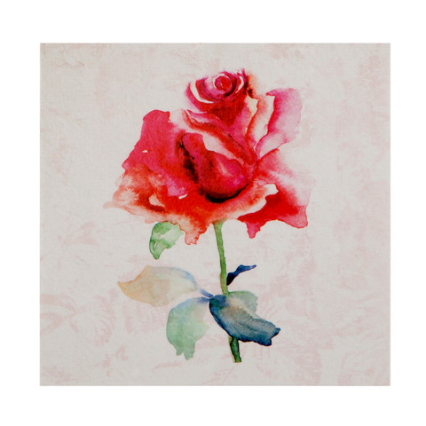 Gift Enclosure Card - Rose