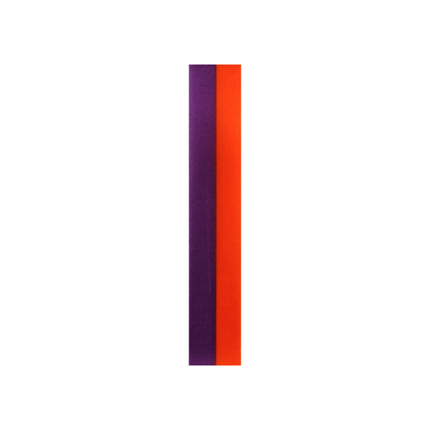 Offray Spirit Ribbon PurpleOrange
