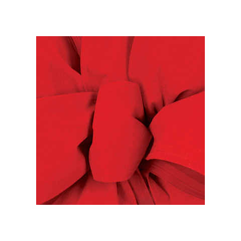 Offray SP Plush Ribbon Red