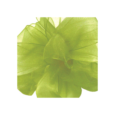 Offray Simply Sheer Asiana Ribbon Willow