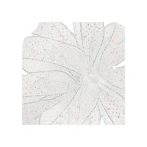 Offray Bolten Wired Edge Ribbon White Offray Bolten Wired Edge Ribbon White