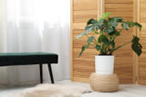 Reliable Cooling with the ICP/EcoTemp AC Package Unit