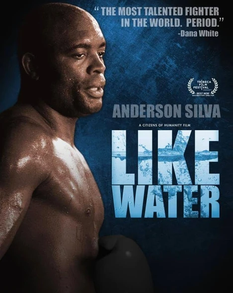 Like Water (2012) [Vudu HD]
