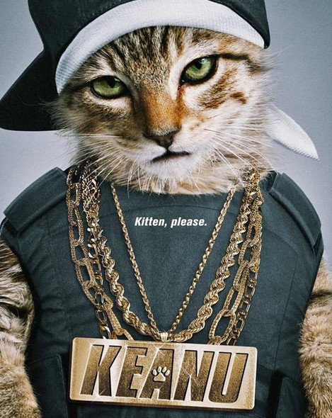 Keanu (2016) [MA 4K]
