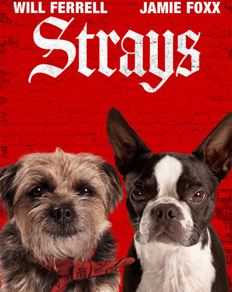 Strays (2023) [MA HD]