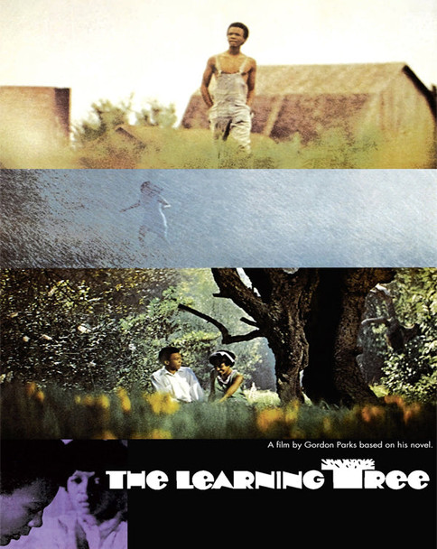 The Learning Tree (1969) [MA HD]