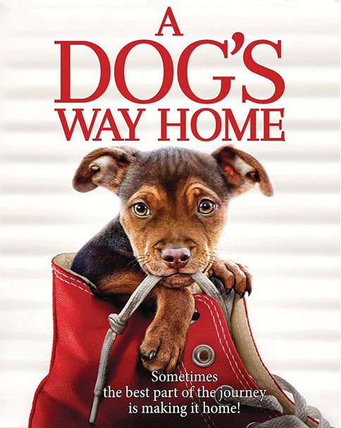 A Dog's Way Home (2019) [MA 4K]