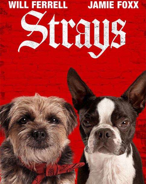 Strays (2023) [MA HD]