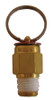 Pressure Relief Valve 40 PSI