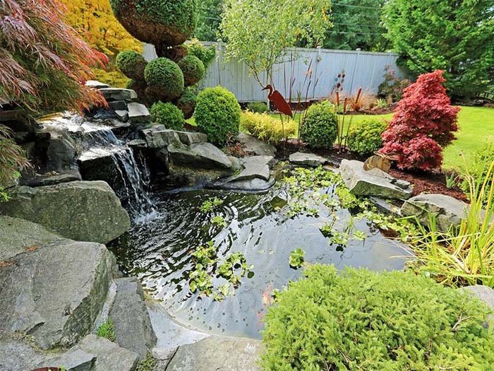 Spring Cleaning Your Watergarden: A Practical Guide