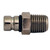 Attwood Chrysler\/Suzuki Tank Fitting - 1\/4" NPT Thread [14509-6]