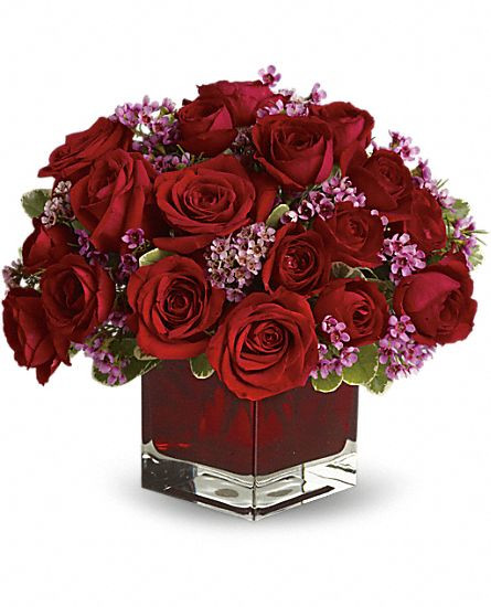 Never Let Go - 18 Red Roses