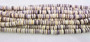 Wampum Shell Beads