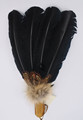 Black Prayer Feather  Smudging 