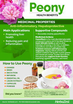Peony Benefits