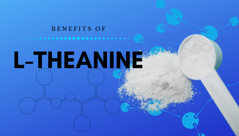 Top Benefits of L-Theanine