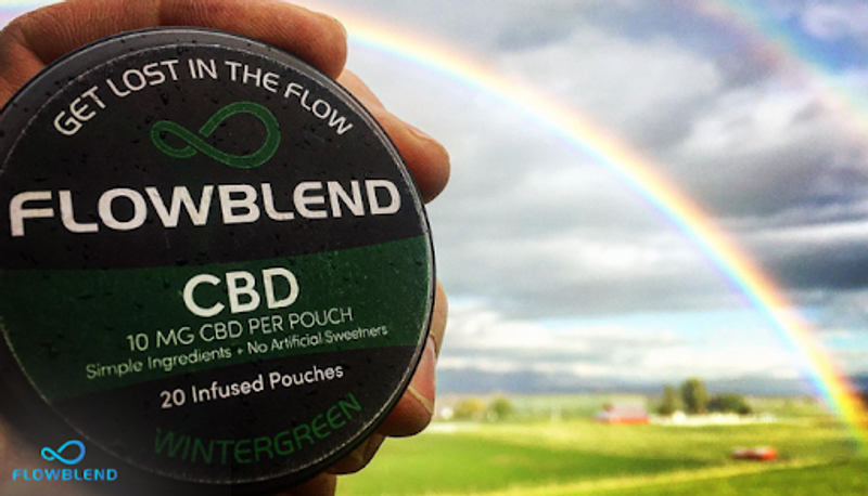 Smokeless Dip Alternatives: CBD Pouches For A Healthier Lifestyle