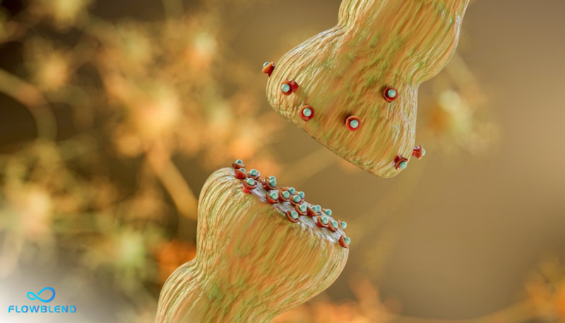 Science Of Nicotine And Addiction - Neurotransmitters