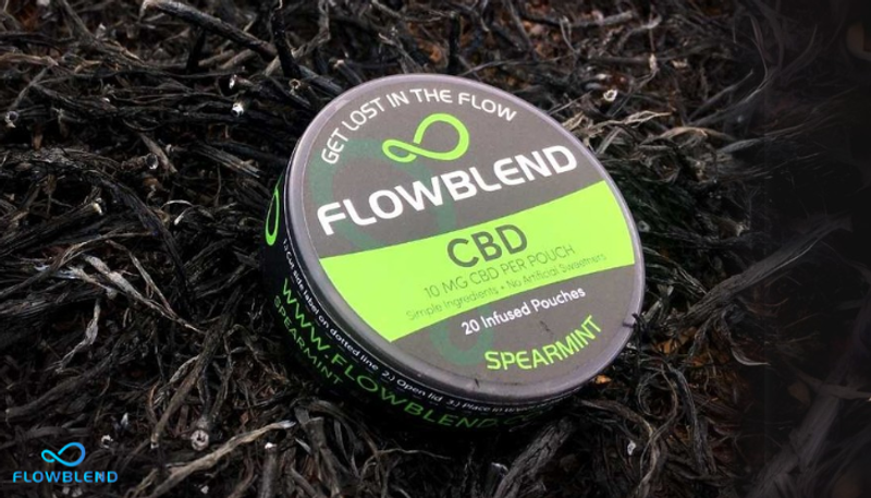 What are the best CBD Pouches?