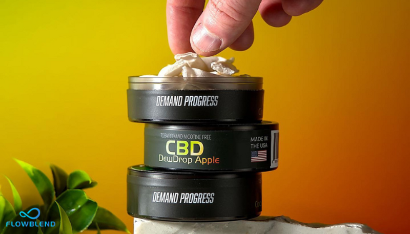 Best Zyn Alternatives: CBD, Energy And Nootropic Pouches Best Zyn Alternatives: CBD, Energy And Nootropic Pouches