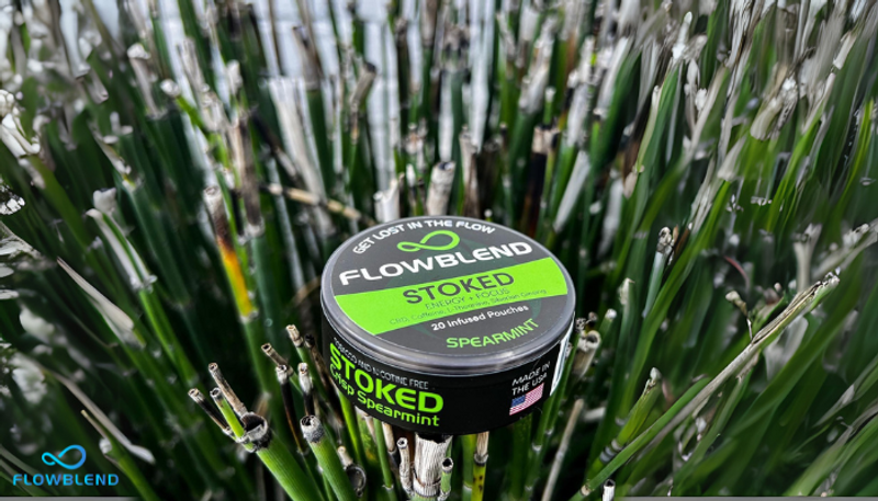 How To Use Energy Pouches: Simple Guide For Beginners How To Use Energy Pouches: Simple Guide For Beginners