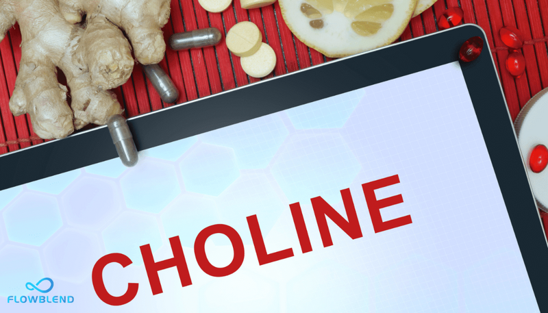 Alpha GPC Vs CDP Choline