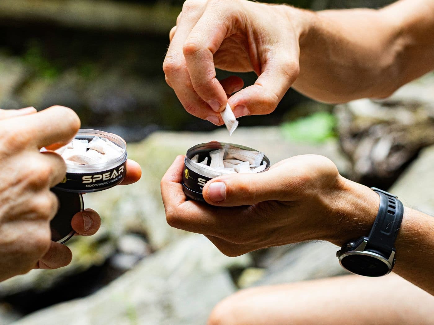 SPEAR supplement facts panel showing all four active ingredients with doses