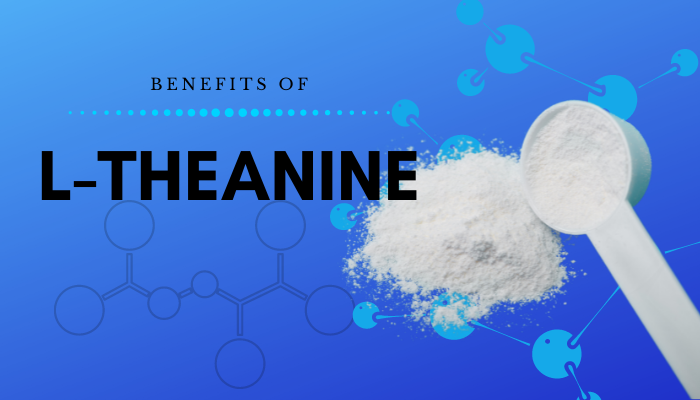 Top Benefits of L-Theanine