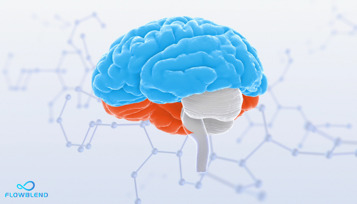 Science Of Nicotine And Addiction - Norepinephrine