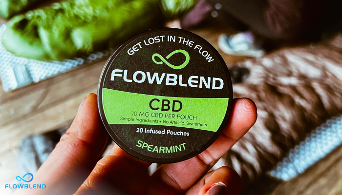 Non-Tobacco Dip Alternatives: A Guide To Complete Nicotine Independence