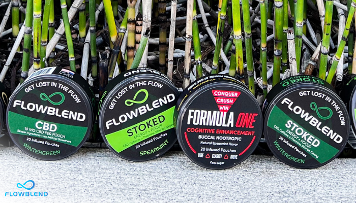 Why Nicotine Free Pouches Are The Best Smokeless Alternative