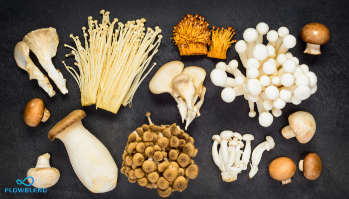 What Are Nootropic Mushrooms? Discover The Benefits